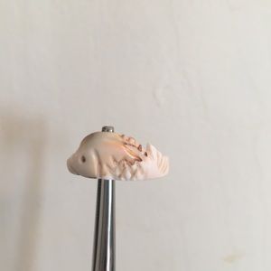 Fish shell rings size 5.5